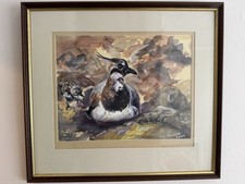 Original Watercolour Painting Of A Lapwing Bird With Chick By Norma Holt. Signed