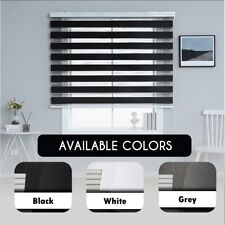 Zebra Binds Day and Night