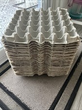 25 Egg  Cardboard