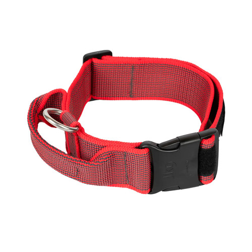 Julius dog collar - julius, k9