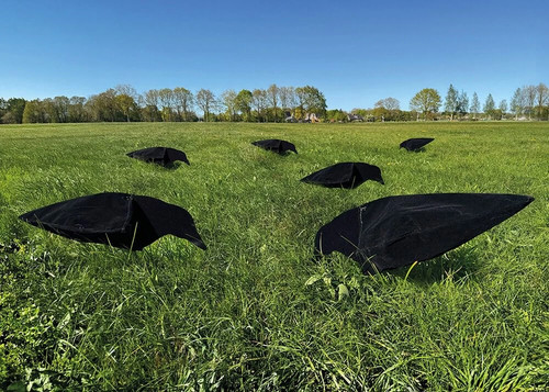 Crow decoys set - decoys,