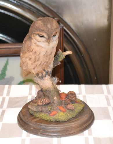 Country artists bird brown owl - country,