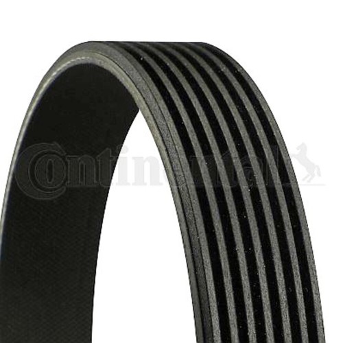 Contitech ribbed belt for - contitech, v-ribbed