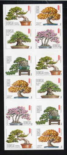 2012 bonsai booklet - 2012,