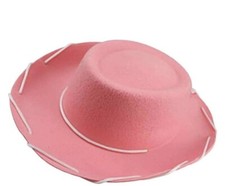 Pink Cowboy / Cowgirl Hat. Ideal For Bachelorette Party’s Bulk Buy Discount