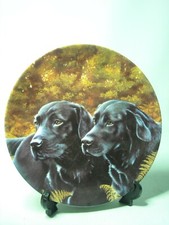 Choice of GOLDEN BLACK