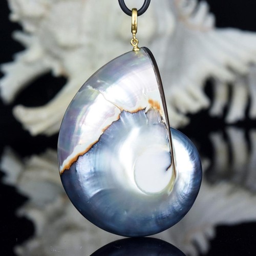 Huge osmena pearl - huge,