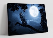 OWL ILLUMINATED BY FULL MOON