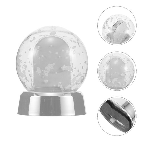 Picture insert snow globe - picture,