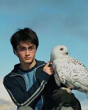 Iconic  Memorabilia Harry