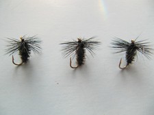 Black and peacock - 3,
