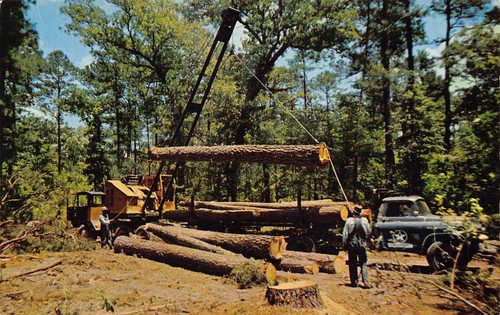 Loading logging truck southern - loading,
