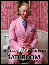 Funny King Charles Toilet man