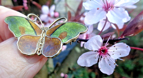 Norwegian enamel butterfly - norwegian,