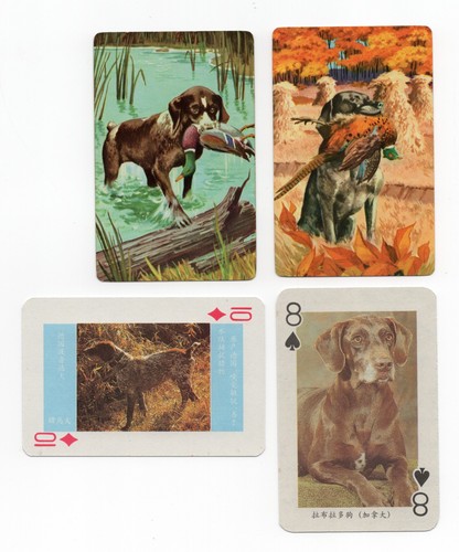 German shorthaired pointer - german,