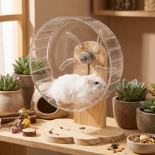 Small Exercise Hamster Wheel