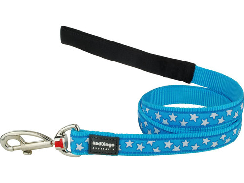 Red dingo dog - red, lead