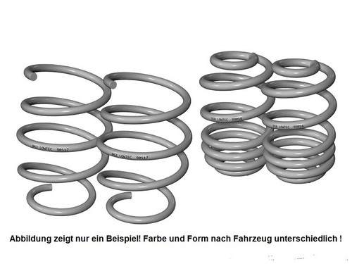 Lowtec sport springs for bmw - springs, 5