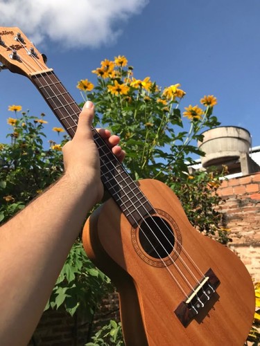 Classic brown ukulele - brown,