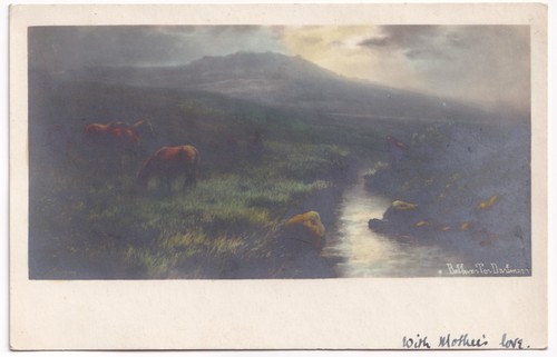 Rppc postcard bellever - bellever, tor