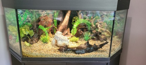 Juwel trigon 350 - l, aquarium