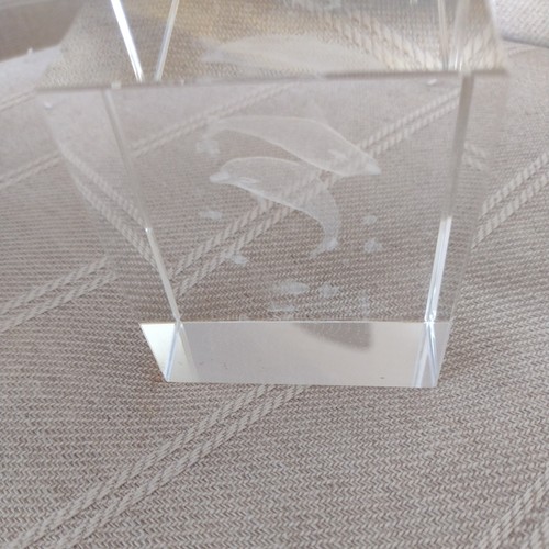 Dolphins crystal glass - dolphins,