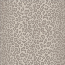 Vinyl Wallpaper Silver Cream