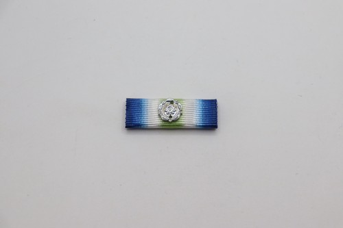 South atlantic medal full size - south,