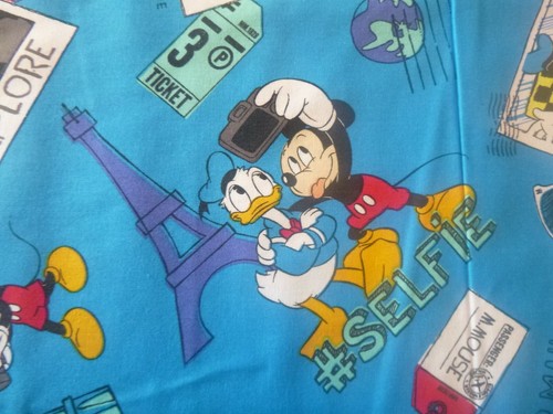 Donald duck and mickey - duck,