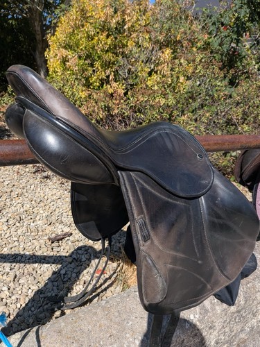 Ideal impala jump saddle - impala,