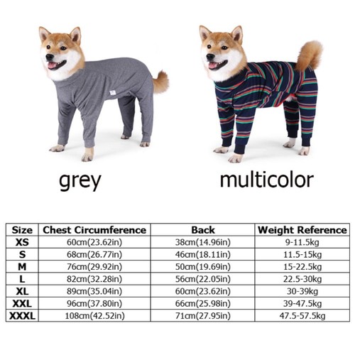 Elastic classic striped - elastic, pet