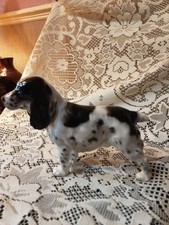  Royal Doulton Dog Figurine Cocker spaniel HN 1109