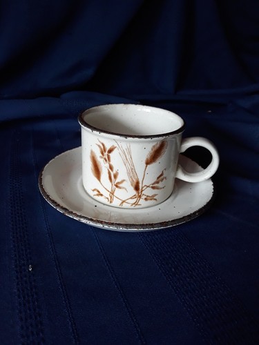 Wedgwood wild oats - ,