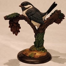 Border Fine Arts, North