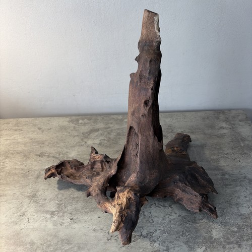 Driftwood piece pointed - driftwood,