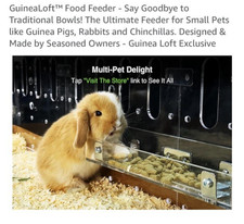 GuineaLoft - Small Pet Feeder