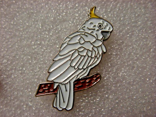 Cockatoo pin badge well - badge.,