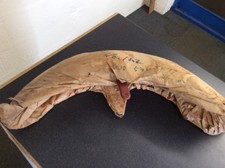 Suzuki K10 80cc Front Mudguard Genuine Nos