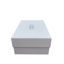 Alexander McQueen Sneaker