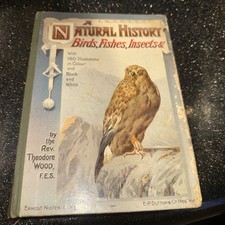 A Natural History of Birds, Fishes Etc. By Rev. Theodore Wood, 180 Illustrations