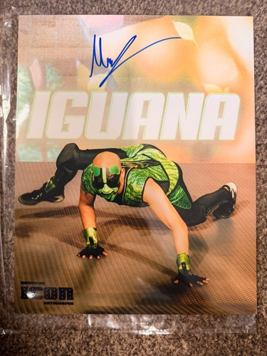 Aaa wwe superstar iguana - superstar, mr
