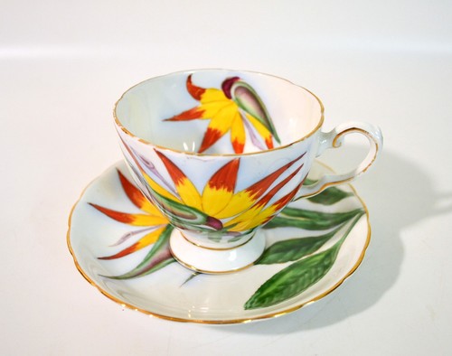 Vintage bird paradise - bird,