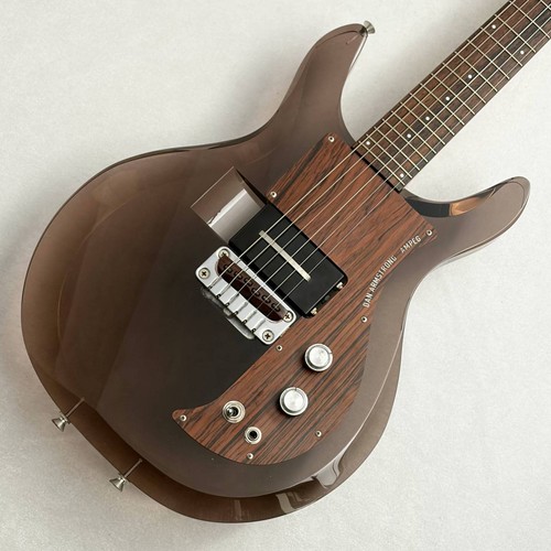 Ampeg dan armstrong adag - dan, adag-2