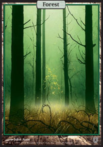 Forest moderate play - 1x,
