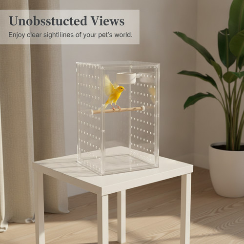 Acrylic bird cage - acrylic, for
