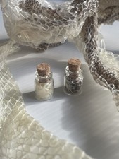 Pair Of Royal Python Corn