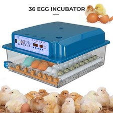 36Egg Incubators for Hatching