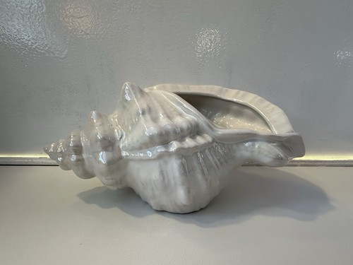 Sia ceramic conch shell - sia,