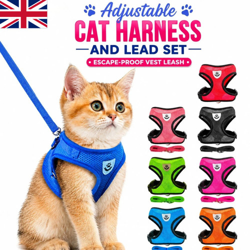 Adjustable cat harness and - harness,
