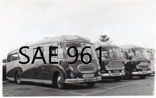 Wessex bristol sae 961 bedford - wessex,